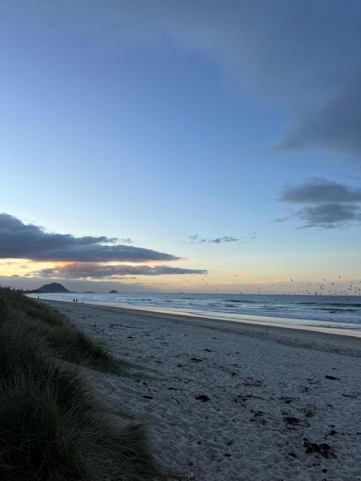 Papamoa Beach, Pohutukawa Deluxe Studio, On Hugoway Extérieur photo